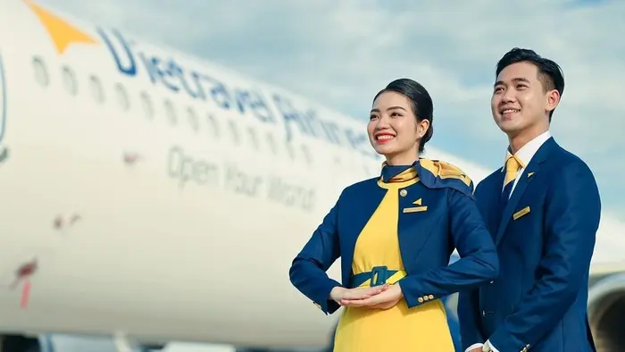 Khăn nơ vải cotton